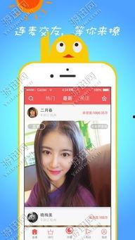 老卢直播爆料视频大全下载,视频大全背后的精彩瞬间