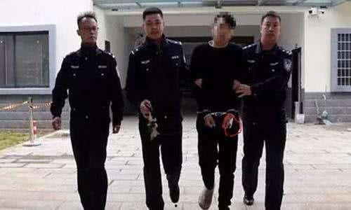 西湖执法学生爆料案件最新,最新案件细节曝光，真相令人震惊