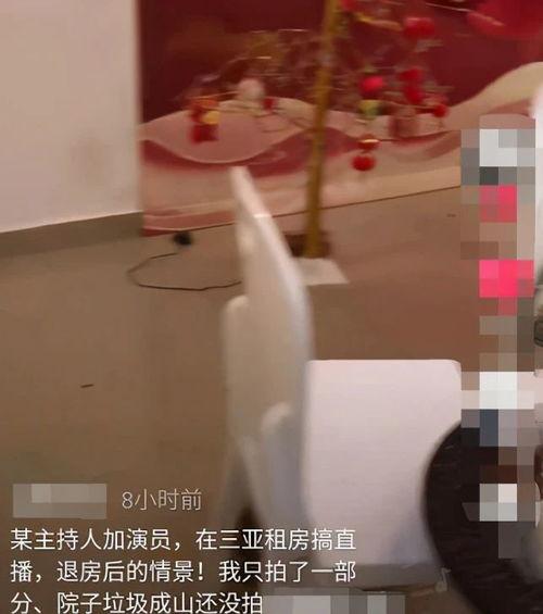 酒店最新爆料视频播放,最新爆料视频带你一探究竟